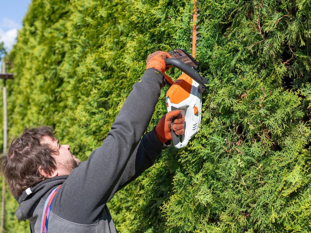 Tree Trimming Services